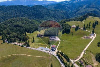 Teren agricol extravilan de 52519 mp, în Dâmbovicioara