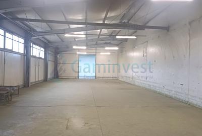 Spatiu industrial de vanzare in Biharia, hala 1200 mp si 23772 mp teren - 8