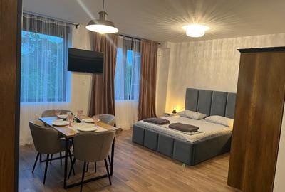 Vand apartament 1 camera, Park Residence, mobilat si utilat - 7