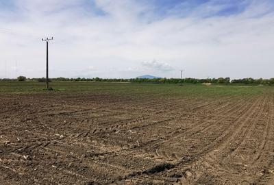 TEREN AGRICOL DE VANZARE - BOD - BRASOV 4,5 HA - 3