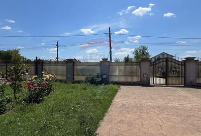 Complex multifunctional-Business & Logistic Campus-Spațiu industrial - 16