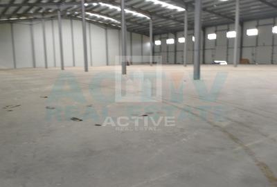 Hala constructie noua - 2