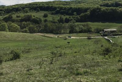 Teren Construcții intravilan de 1500 mp, în Exterior Sud