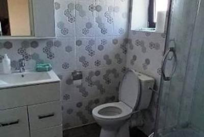 Magurele,hala 1000 mp,constructie noua ,ideal depozitare,productie - 7