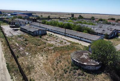 Spațiu industrial -fermă Orțișoara - 20