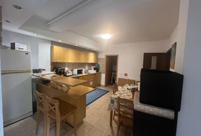 Domenii - 6 rooms villa for rent - 13