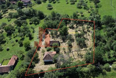 Teren Construcții intravilan de 4558 mp, în Bran