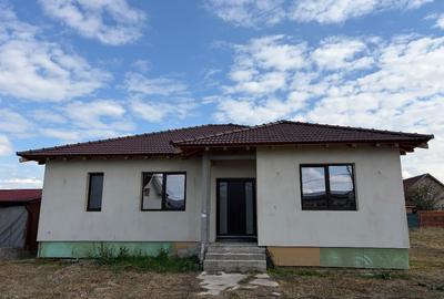 Casă individuală cu 3 camere în Iosia