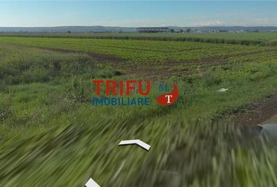 Teren agricol extravilan de 5800 mp, în Galda de Jos