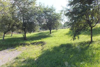 Teren Bran Sohodol , o zona de vis, o priveliste unica spre muntii Bucegi! - 10