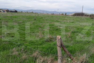 Teren Construcții intravilan de 5500 mp, în Periferie