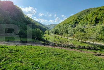 Teren agricol extravilan de 5400 mp, în Iara