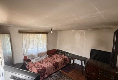 Casa rurala cu gradina mare, langa Bucuresti - 2