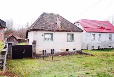 Casă cu demisol și parter, teren 395 mp, Sat Bradu – Avrig - 2