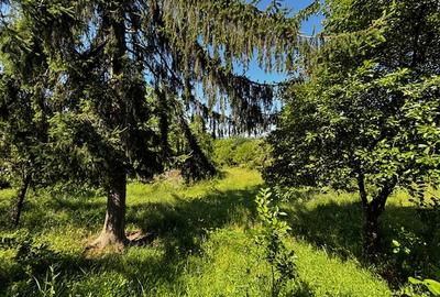 Teren doua loturi 3100 mp. - 2800 mp. Dăesti - Valcea - 11
