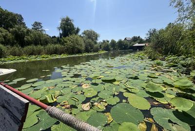 Teren+CASA 8000mp Deschidere 36ml Lacul Snagov - 2