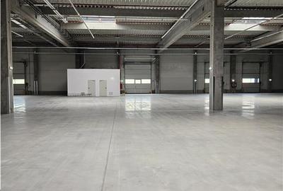 Spatiu Industrial - 2500 mp - Productie - Depozitare - Distributie - 11