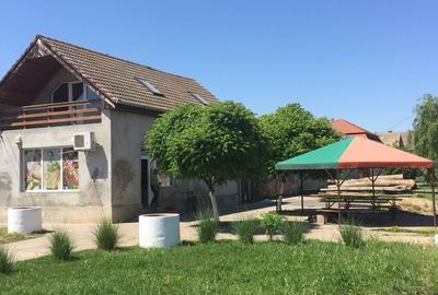 Spațiu comercial | DN69  | comuna Pesac | 50 km de Timișoara - 2