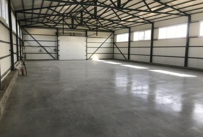 Hală 984 mp Iris – Calea Muncii | 3 porți TIR | Depozit/Producție - 2