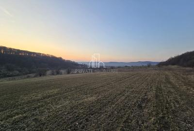 Teren extravilan 28.800 Mp , zona Rora, Sighisoara - 1
