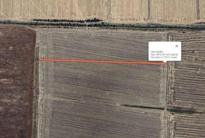 Teren agricol extravilan în Curcani