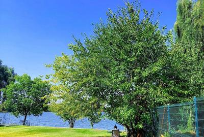 Apartament superb 3 camere gradina pe lac Damaroaia - 9
