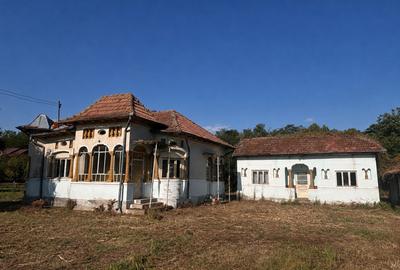 Proprietate cu 2.109 m² teren intravilan și două case, în Olanu - 4