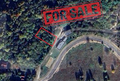 Teren extravilan de 1256 mp, în Ciurila