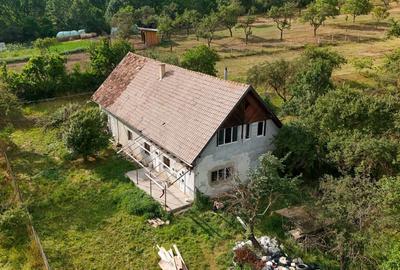De vânzare casă particulară la Angheluș - 1