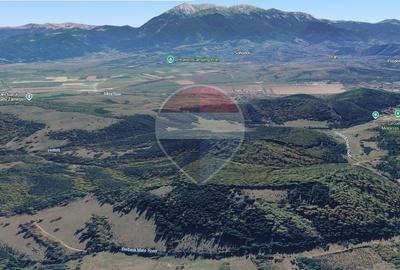 Teren Poiana Marului, 2053mp,  741mp si 3906mp inconjurat de padure - 2