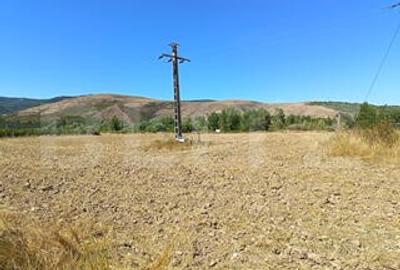 Teren agricol extravilan de 3400 mp, în Cornești