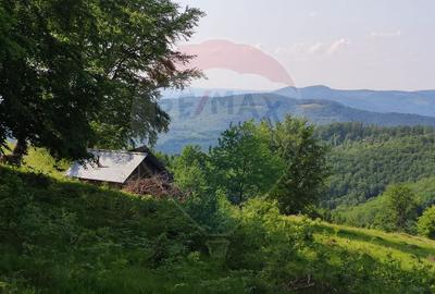 Teren 130000 mp extravilan, faneata si padure, Munteni - Bulz, Negreni - 20