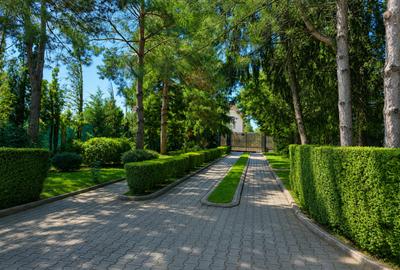 Lakefront Estate | 3.000 mp Teren | Ponton Privat | Snagov - 2