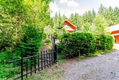 Casa 3 camere, 840 mp teren care include padure, Paltinis - 6