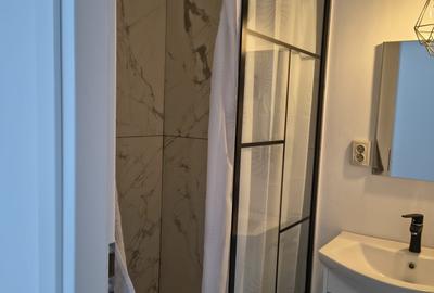 Apartament in zona centrala,finisat (cladire istorica ),mobilat,cu parcare - 12