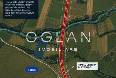 Teren agricol extravilan de 11500 mp, în Cristian