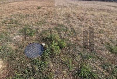 Teren Construcții intravilan de 669 mp, în Moșnița Nouă