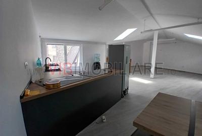 Loft spatios la Cismigiu - 14