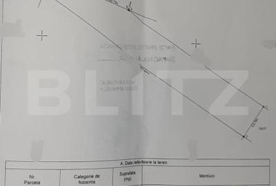 Teren Construcții intravilan de 3353 mp, în Chinteni