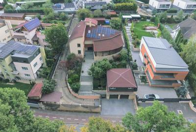 Reprezentare exclusivă · Casa dintre magnolii, Făget · 1.343 mp lângă pădure - 35