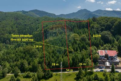 Teren Construcții intravilan de 3000 mp, în Dâmbul Morii