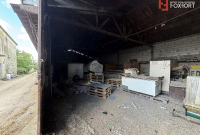 Depozit de vanzare cu suprafata utila de 450 mp - Ortisoara - 4