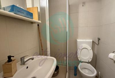 4 camere Decebal – Piața Muncii | Parter ideal firmă | 97 mp - 10