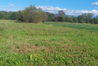 TEREN INTRAVILAN\699 mp, 45€ mp\ CARANSEBEȘ\ ZONA TEIUȘ - 4