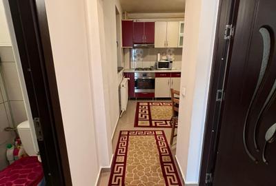 Apartament 2 camere de inchiriat Gorjului (exact in intersectie) - 17