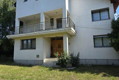 Vanzare vila P+1+M cu 5 camere, casa batraneasca , 2 garaje, teren 9249mp, - 3