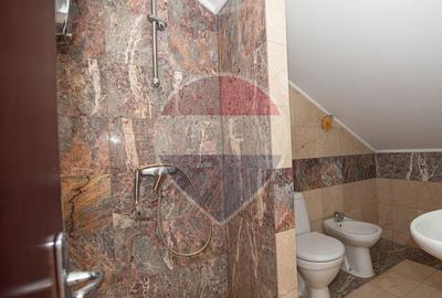 Casa de vanzare 9 camere potential investitie Cornetu teren 1200mp - 28