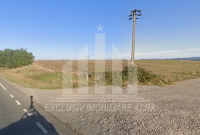 Teren extravilan | Agricol | 15000 mp | 40ml deschidere | Aurel Vlaicu - 1