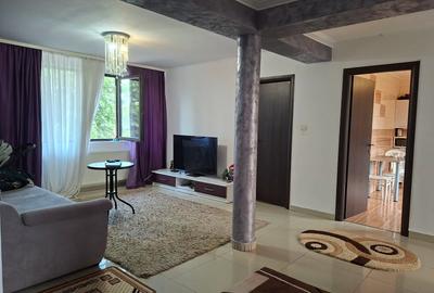 Berceni,Casa individuala, teren 479mp - 3