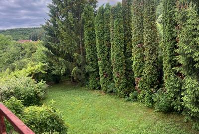 Acasă la Bascov- Județ Arges cu peisaj de poveste - 1